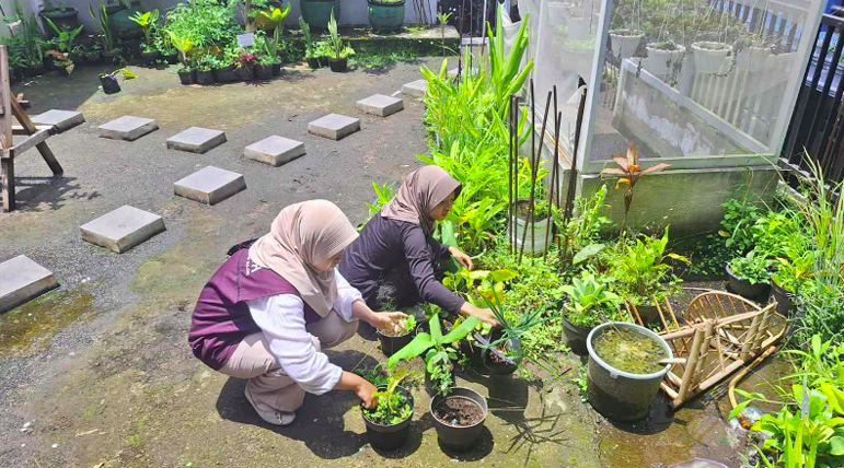 Mahasiswa KKM Laksanakan Penanaman Tanaman Obat Sekolah dan Pelabelan Edukatif